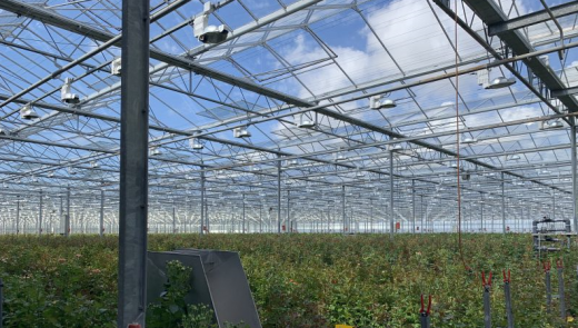 Alewijnse automatiseert energieplatform voor tuinders