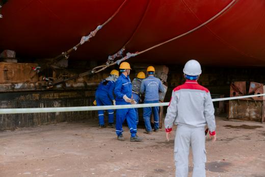 Alewijnse Vietnam bulk carrier Truong Minh Dongbacshin