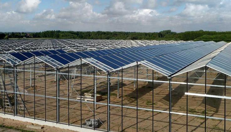 Alewijnse energie platform Luttelgeest